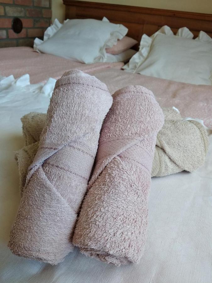 Appartamento U Anny Smejdirky Nymburk Esterno foto